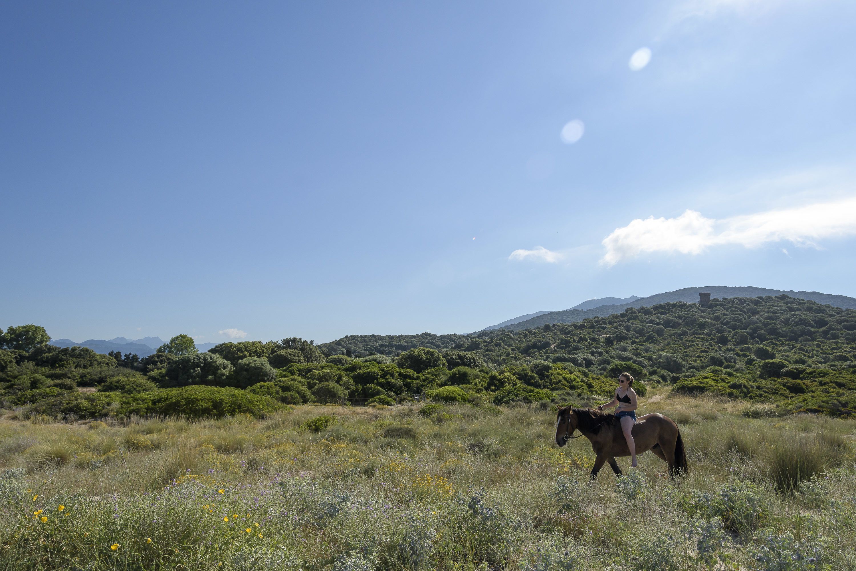 A person riding a horse in a grassy field with trees and hills in the background.