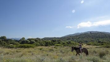 A person riding a horse in a grassy field with trees and hills in the background.
