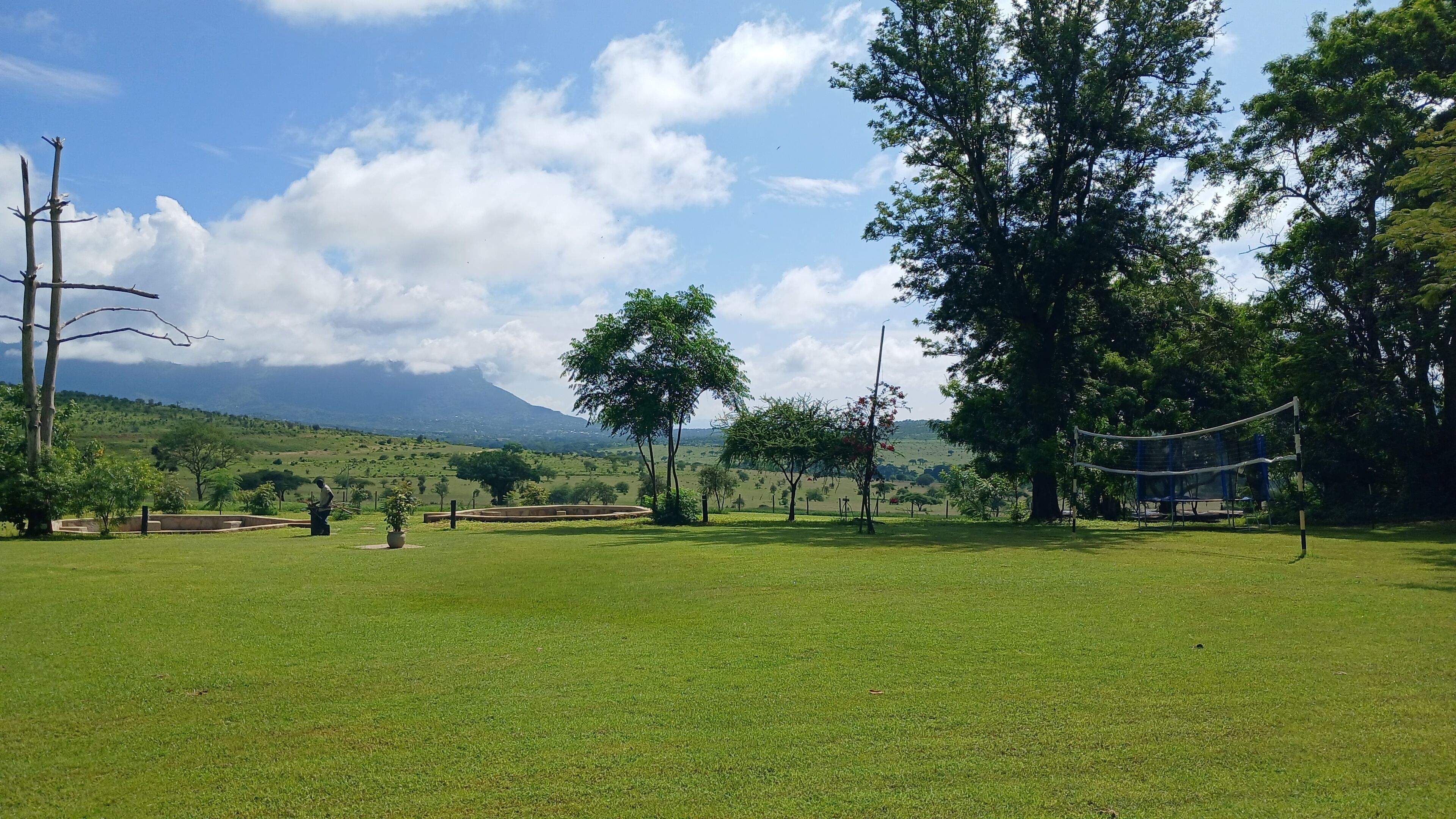 Un campo cubierto de césped con árboles y una red de voleibol.
