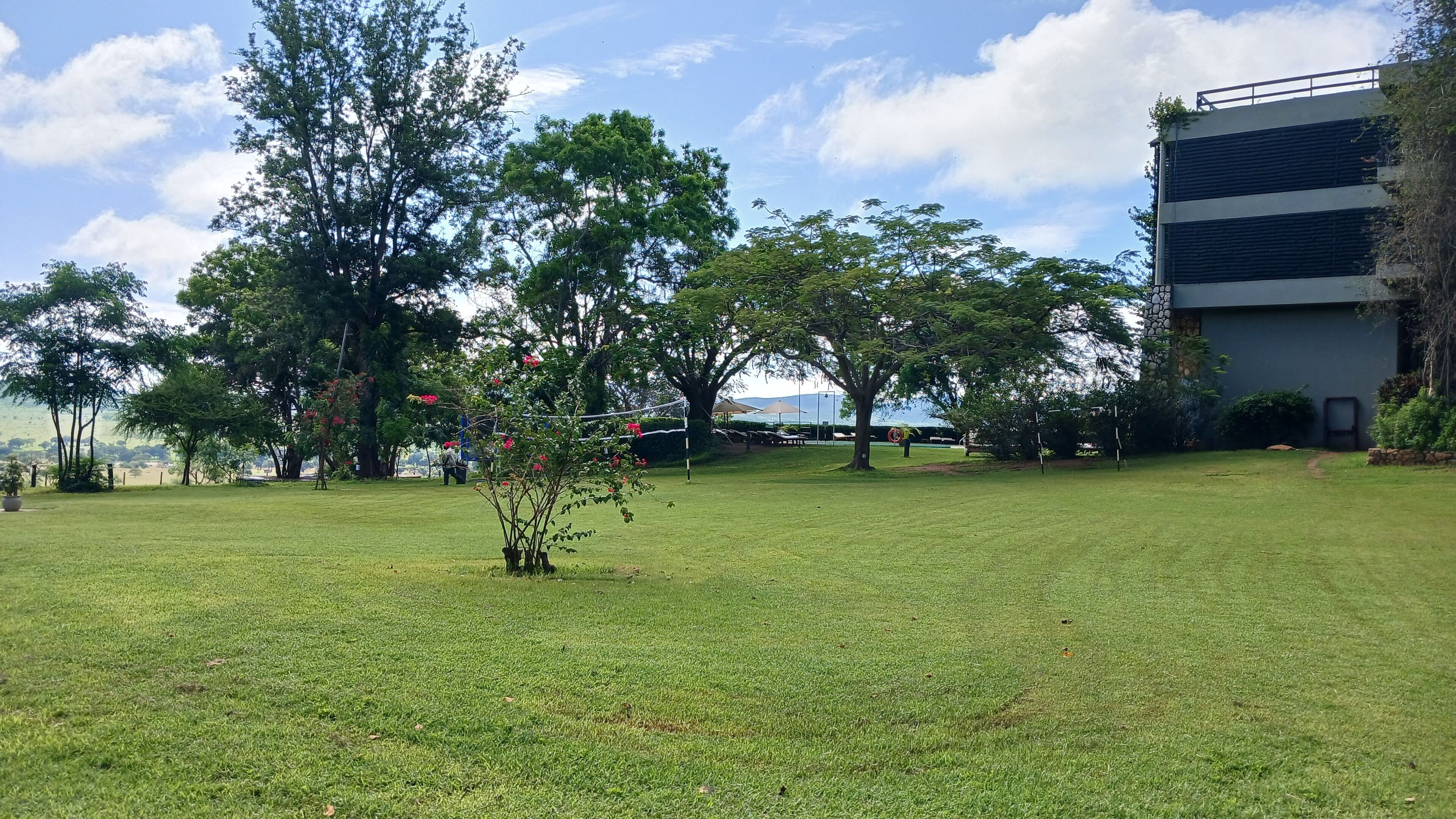 A grassy area with trees and a building in the background.