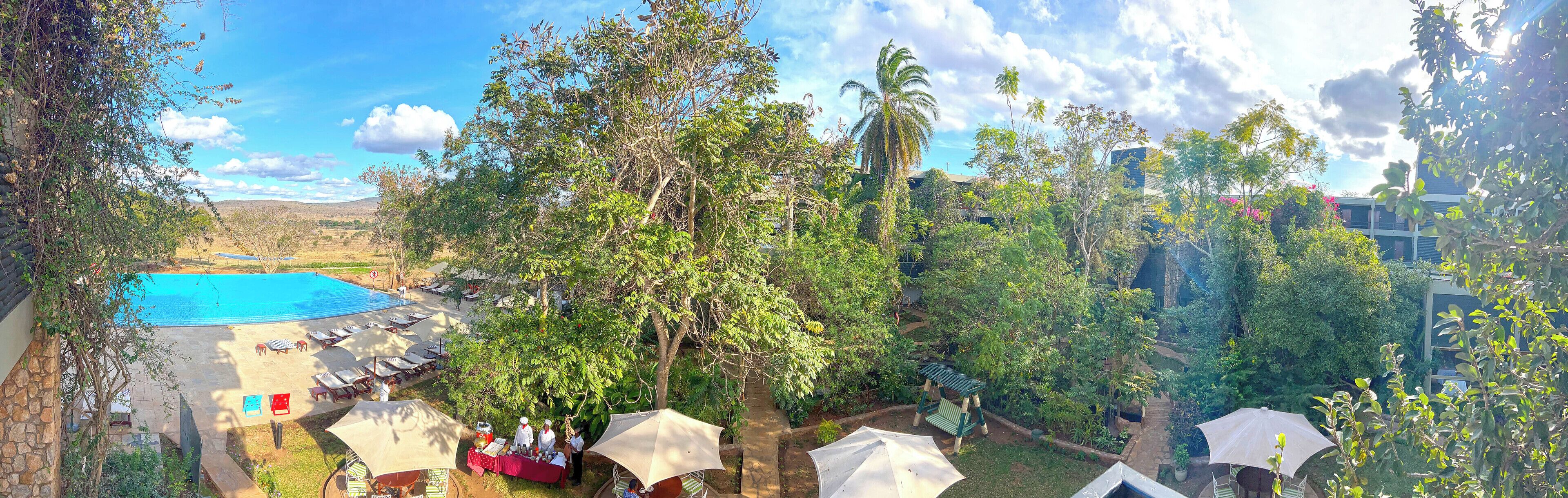 A pool area with lounge chairs and umbrellas, surrounded by lush greenery and a clear blue sky.