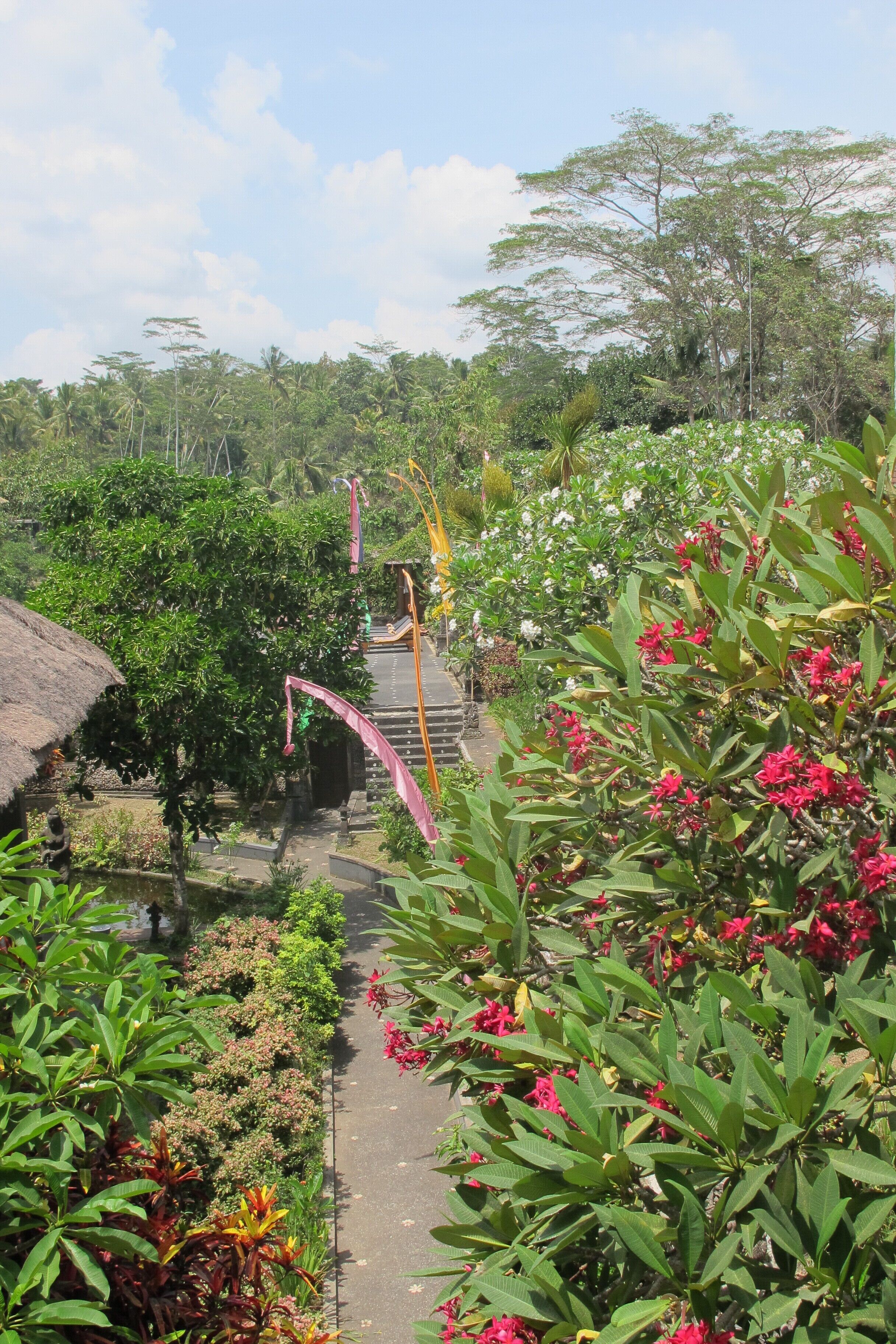 deluxe studio with balcony | balcony view