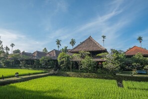 Aerial view - Ananda Cottages (Ubud)