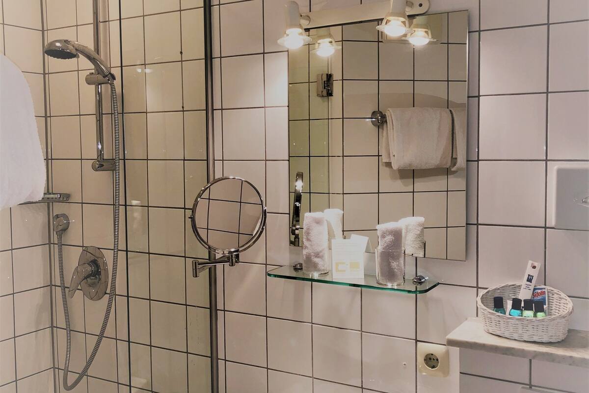 shower, free toiletries, hair dryer, slippers