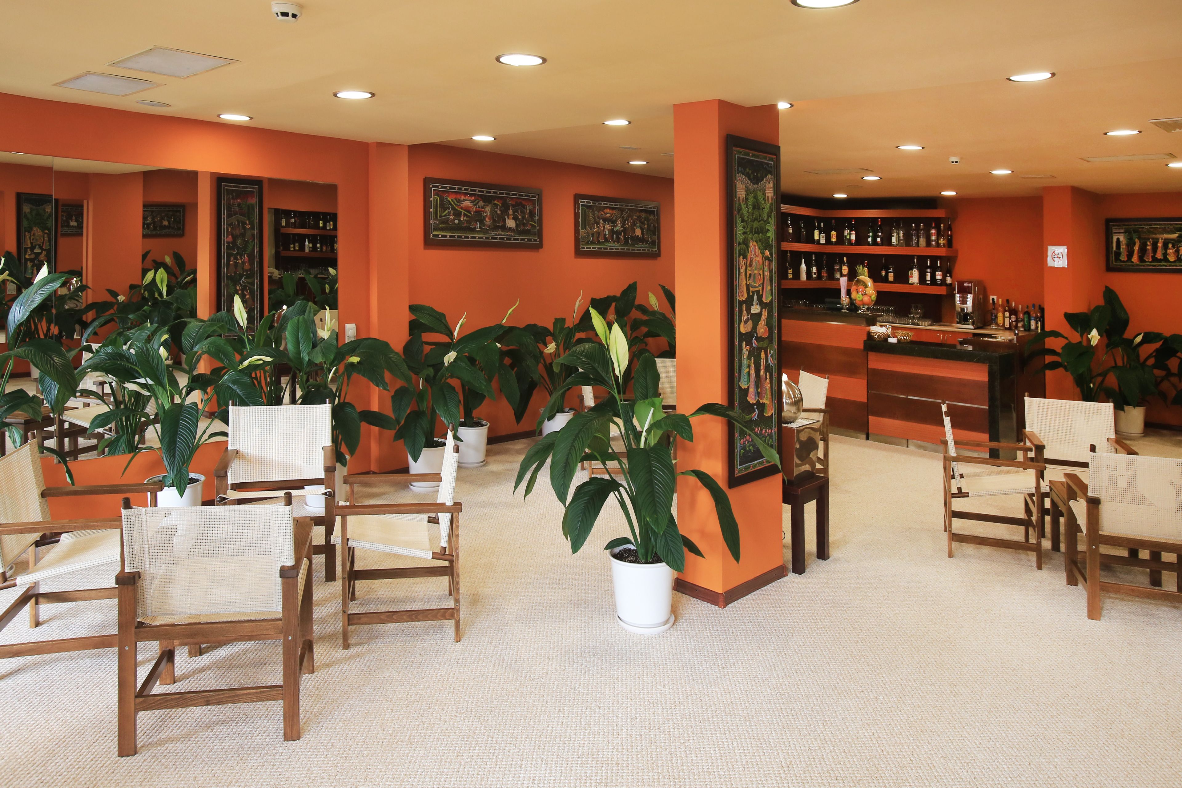 Een ontvangsthal met houten stoelen, planten in potten en een bar met flessen op de planken.