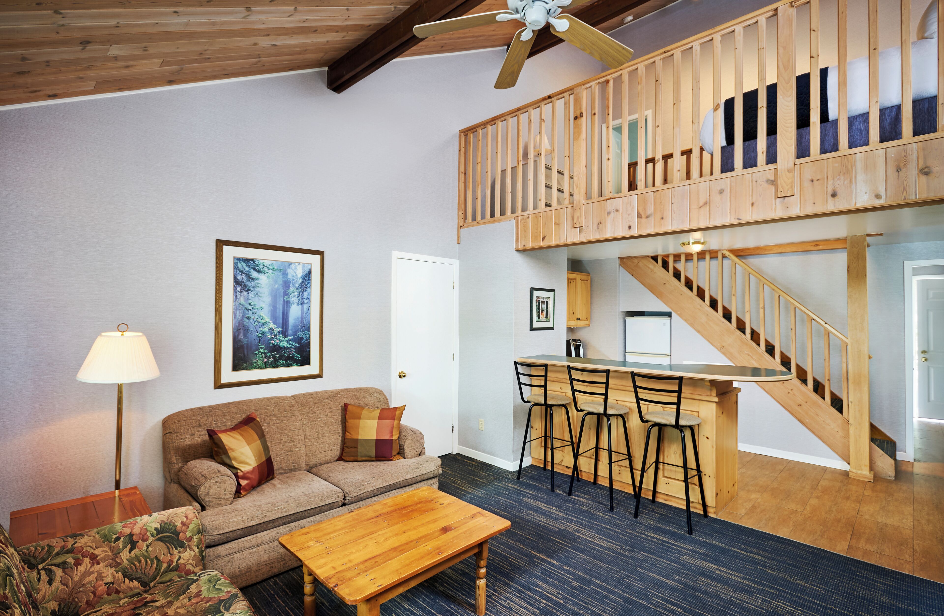 Glen Eagle Suite  | 起居区 | 20-英寸纯平电视（配备卫星频道）