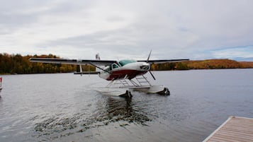 Et vandfly stående på en rolig sø med en bro i forgrunden.