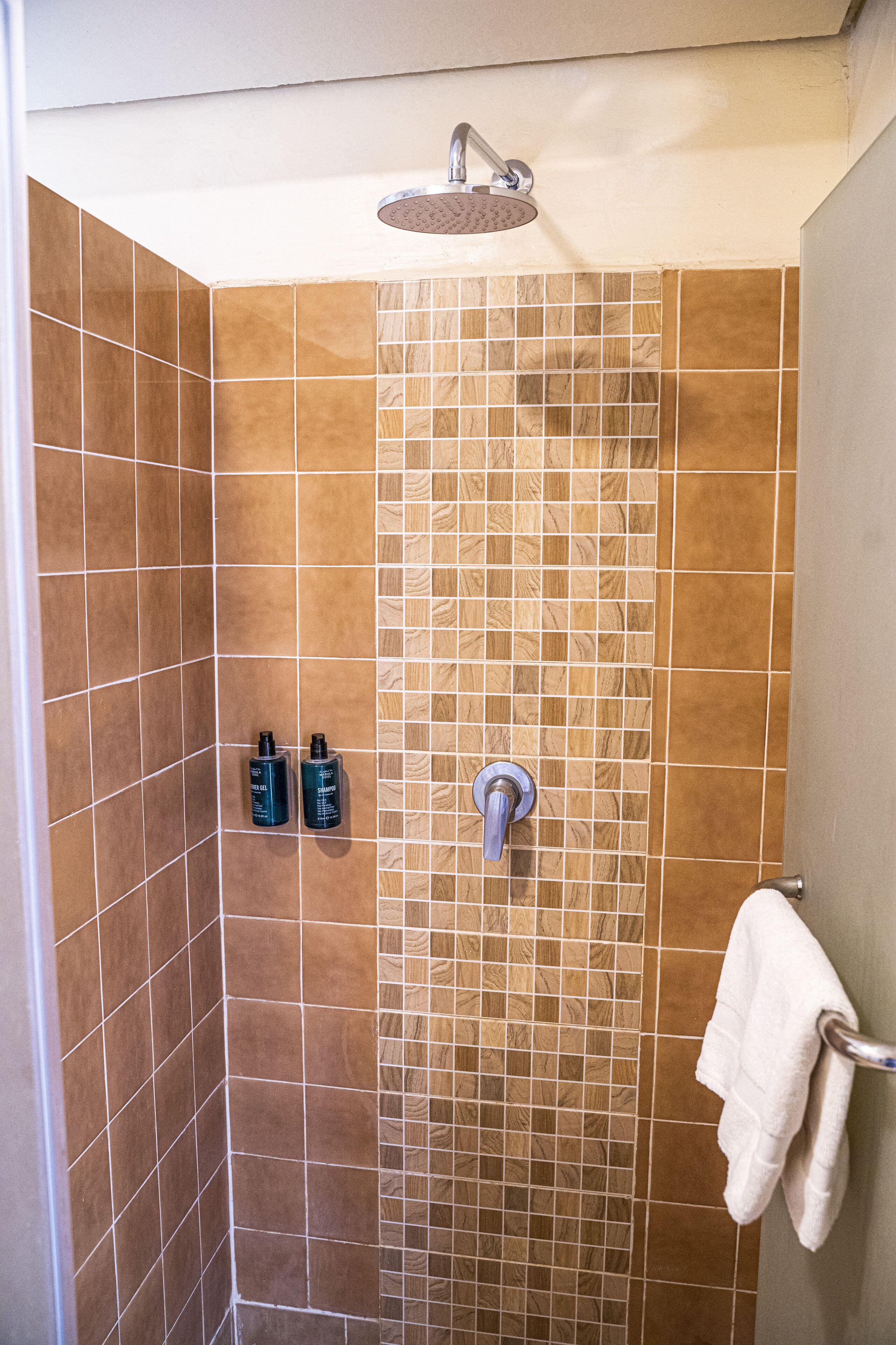 A shower with a rain showerhead, a towel rack, and two bottles of shampoo.
