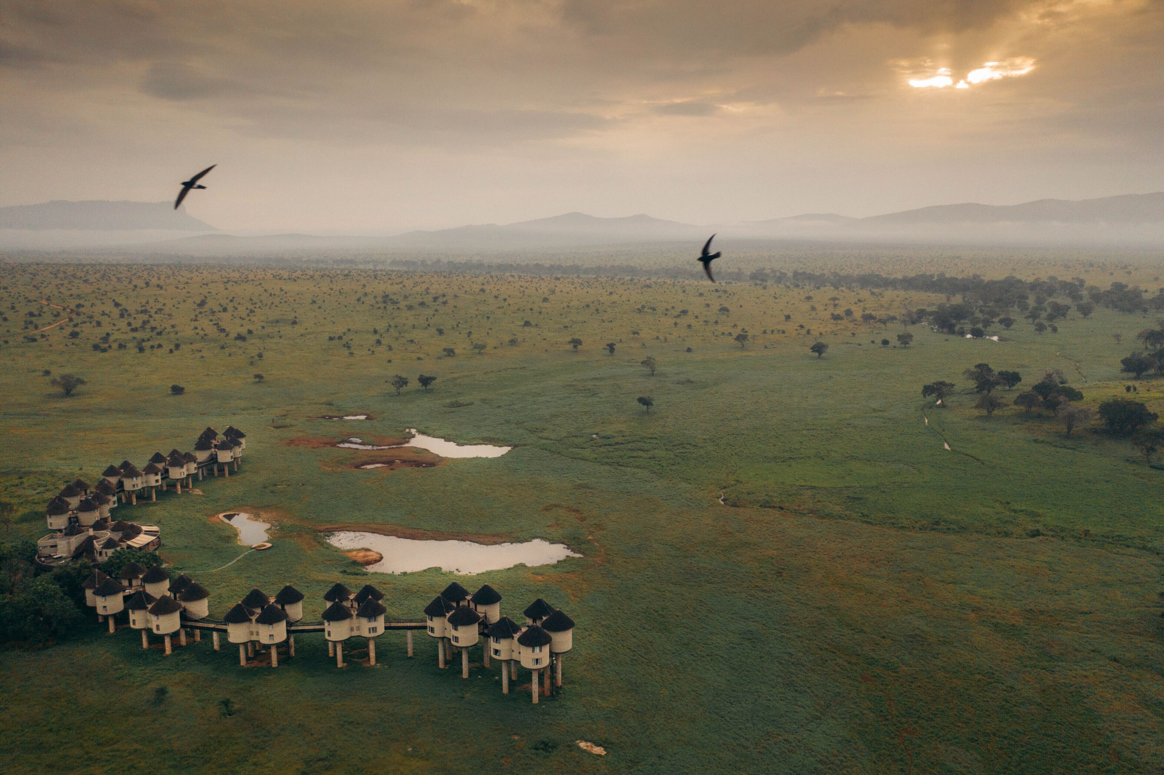 A rural landscape with a row of traditional huts and a few birds flying in the sky.