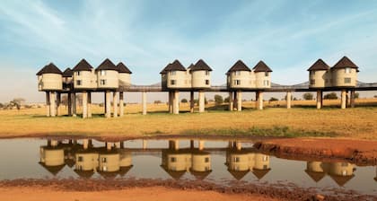 Salt Lick Safari Lodge