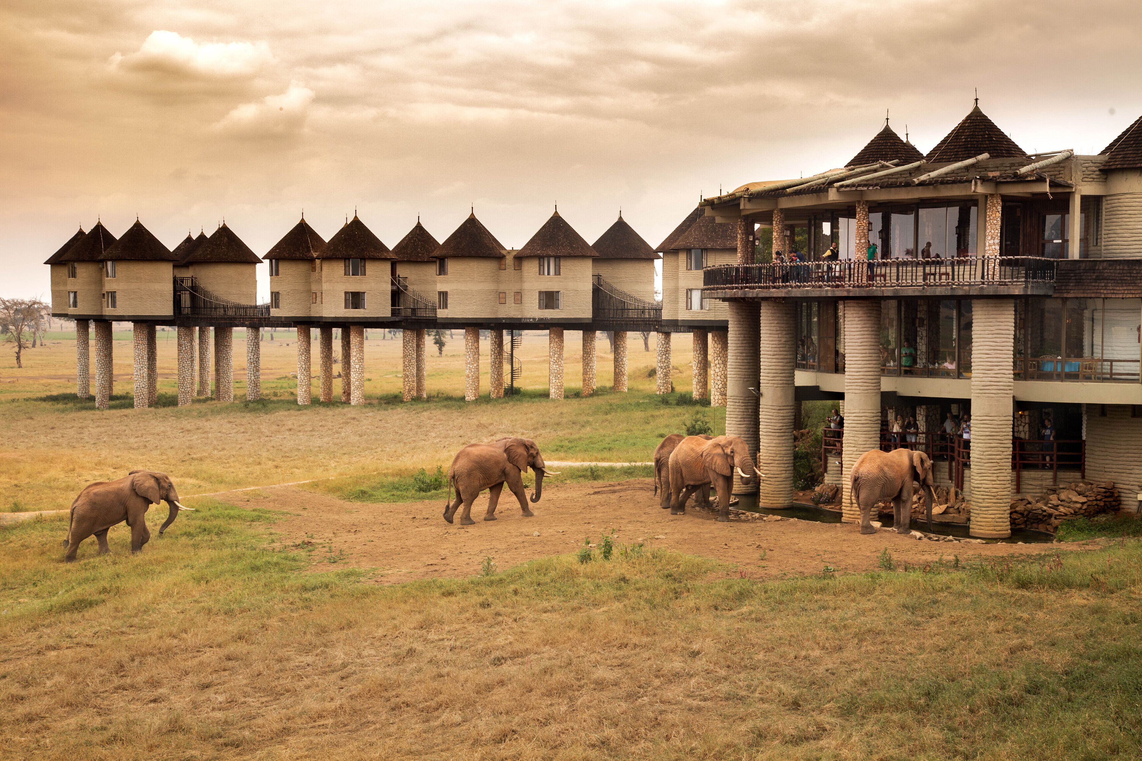 A series of traditional-style buildings with a balcony overlooking a grassy area.