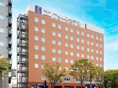 Comfort Hotel Tsubamesanjo
