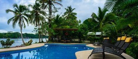 Outdoor pool, sun loungers
