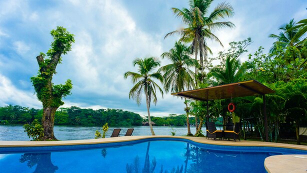 A swimming pool with a view of the water and palm trees, surrounded by lush greenery.
