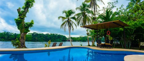 Kolam renang outdoor, dengan kursi berjemur