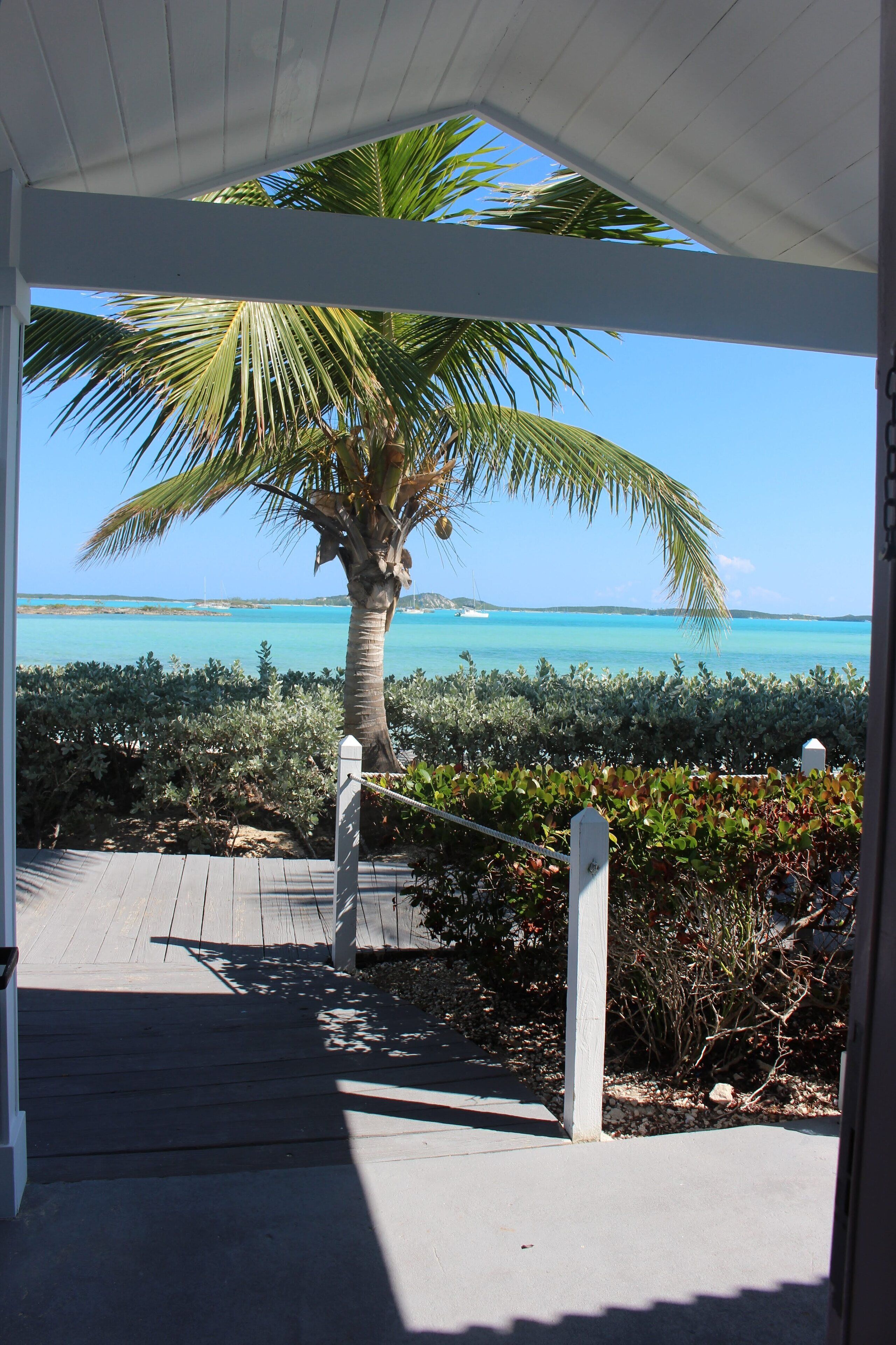 A covered walkway leading to a palm tree overlooking a turquoise sea.