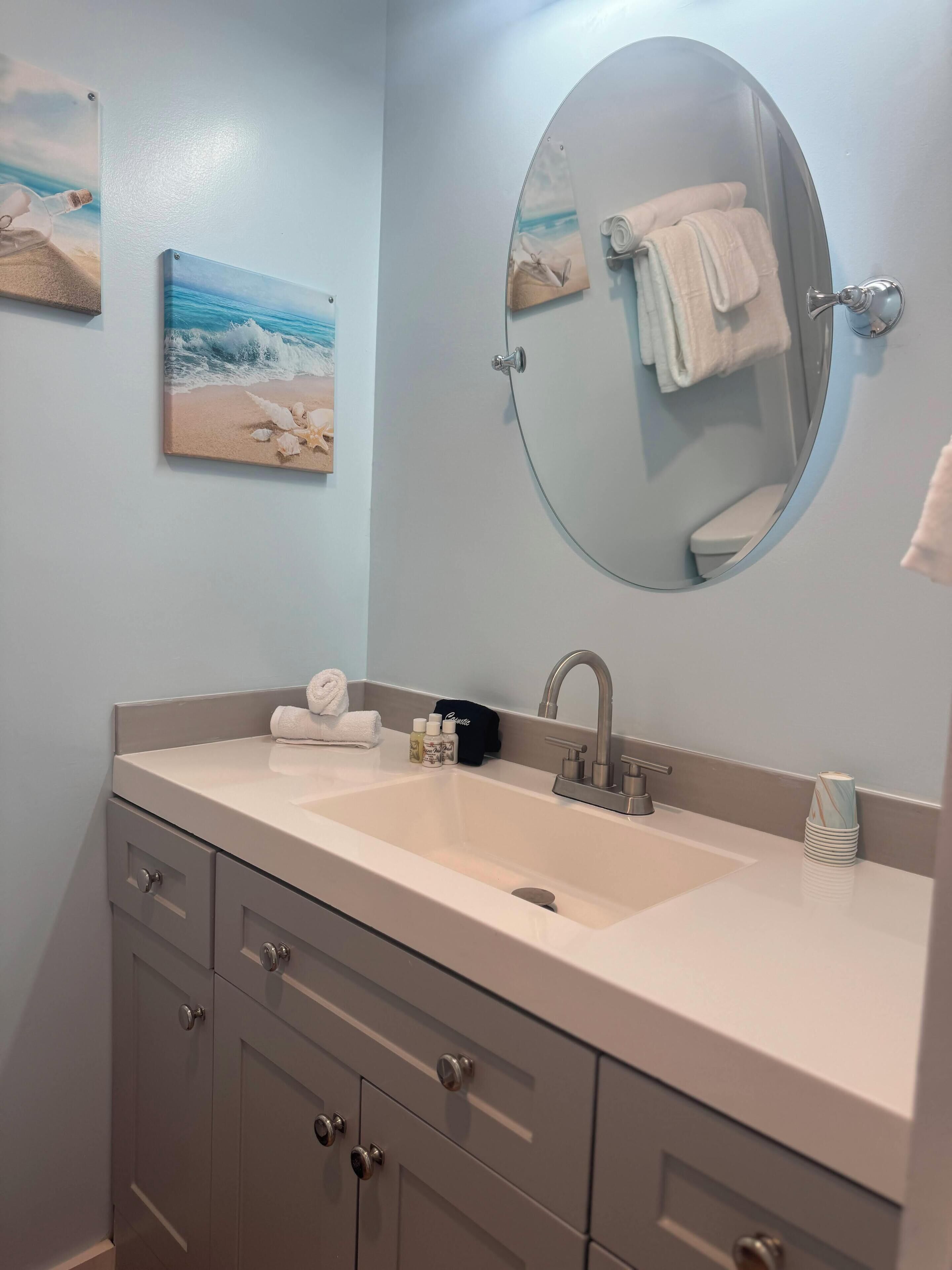 A bathroom with a sink, mirror, and two wall-mounted paintings.
