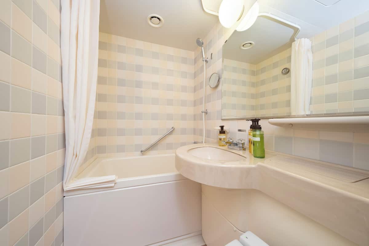 combined shower/bathtub, free toiletries, hair dryer, slippers