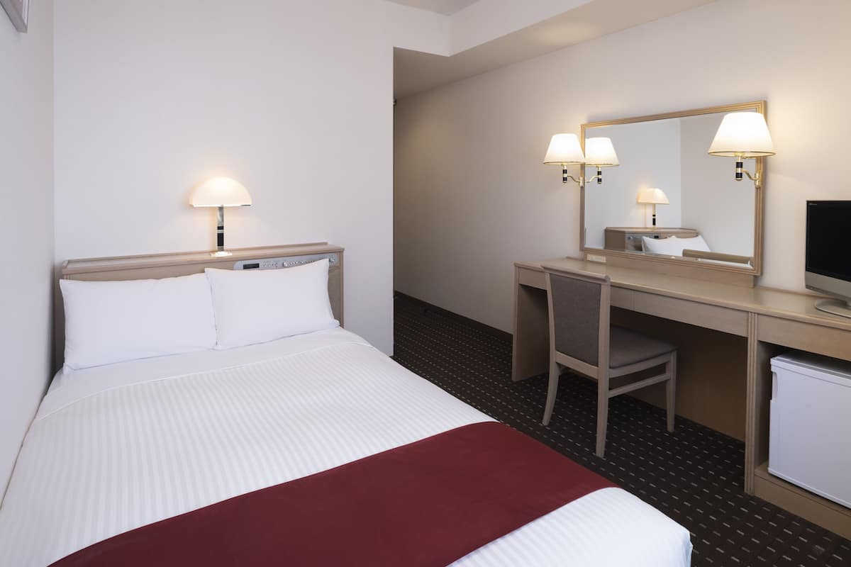 A hotel room with a bed, a desk, a chair, a television, and a mirror.