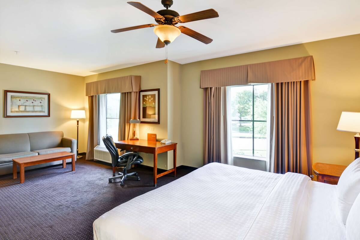 A hotel room with a bed, a desk, a chair, a sofa, and a ceiling fan.