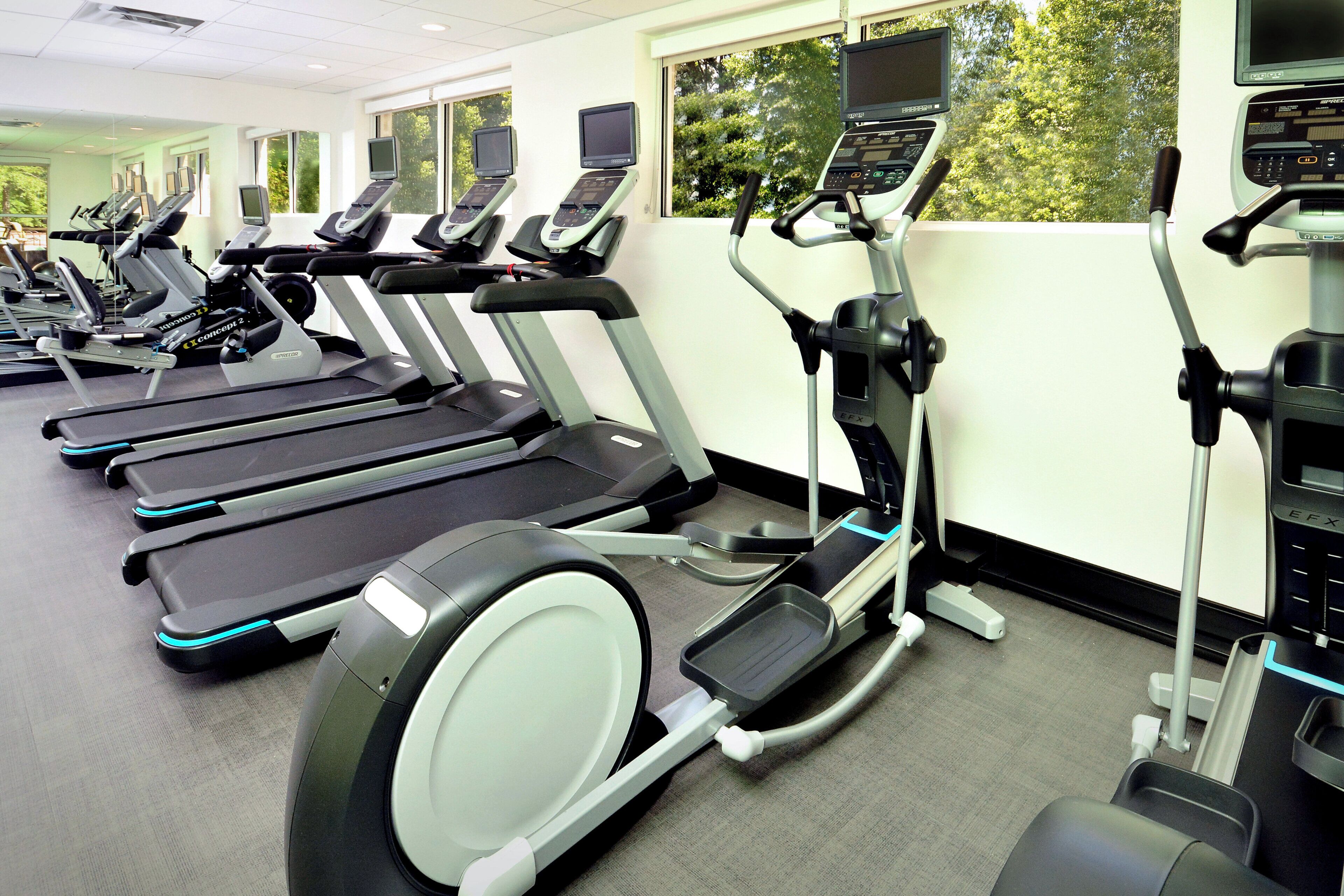 Varias cintas de correr en un gimnasio con ventanas y vistas a árboles.
