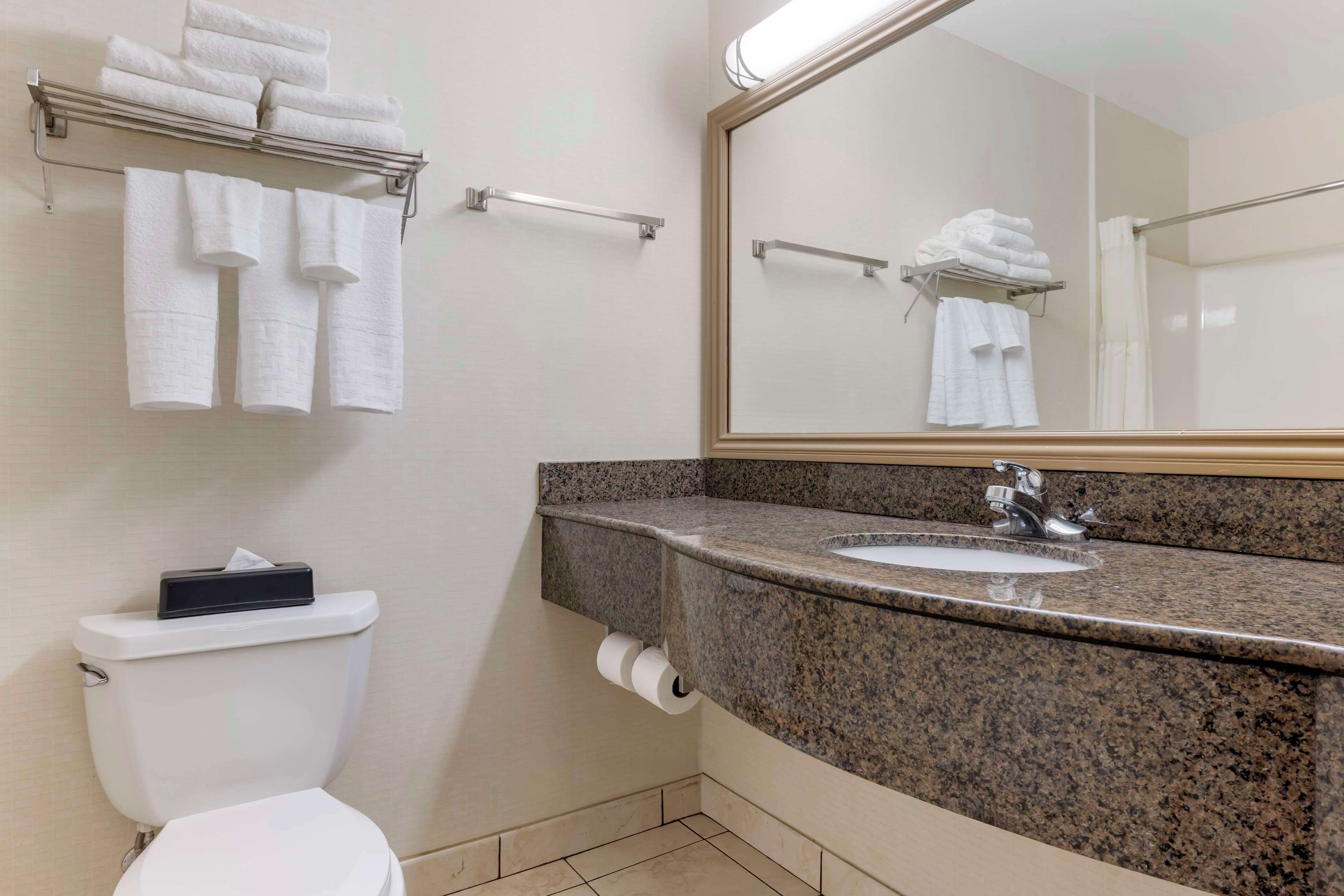 combined shower/bathtub, deep-soaking bathtub, hydromassage showerhead