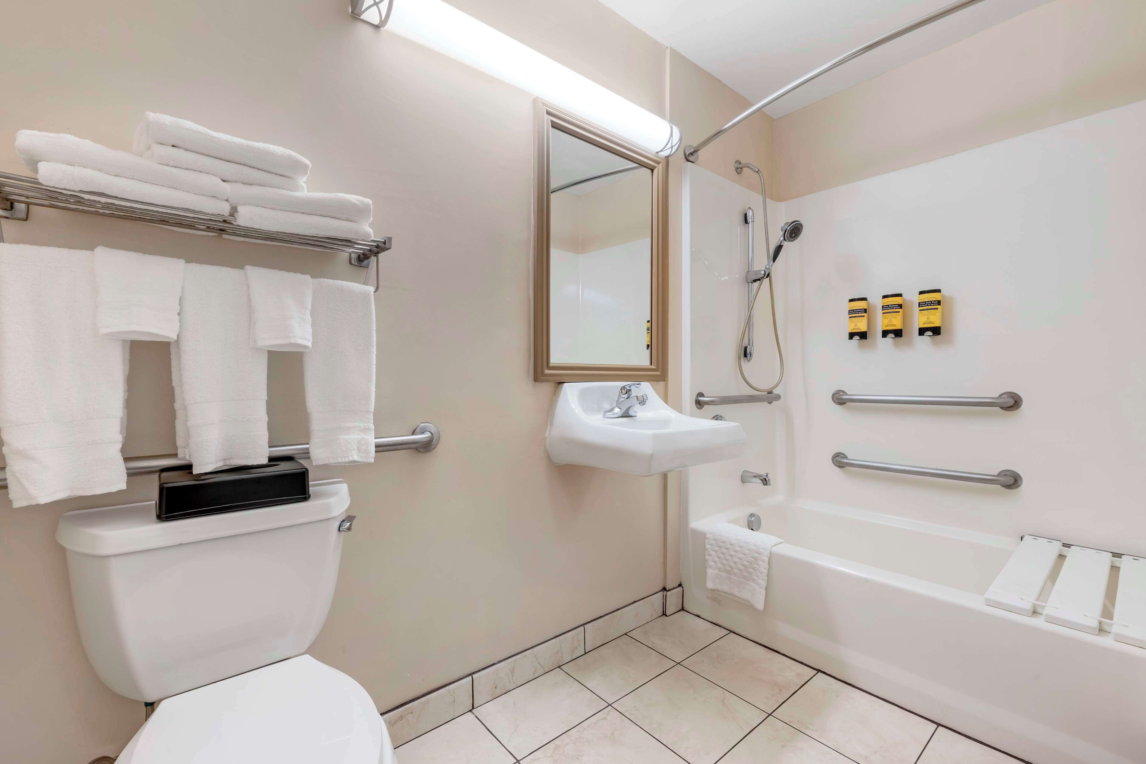 suite, 1 king bed, accessible, bathtub (with single sofabed) | accessible bathroom