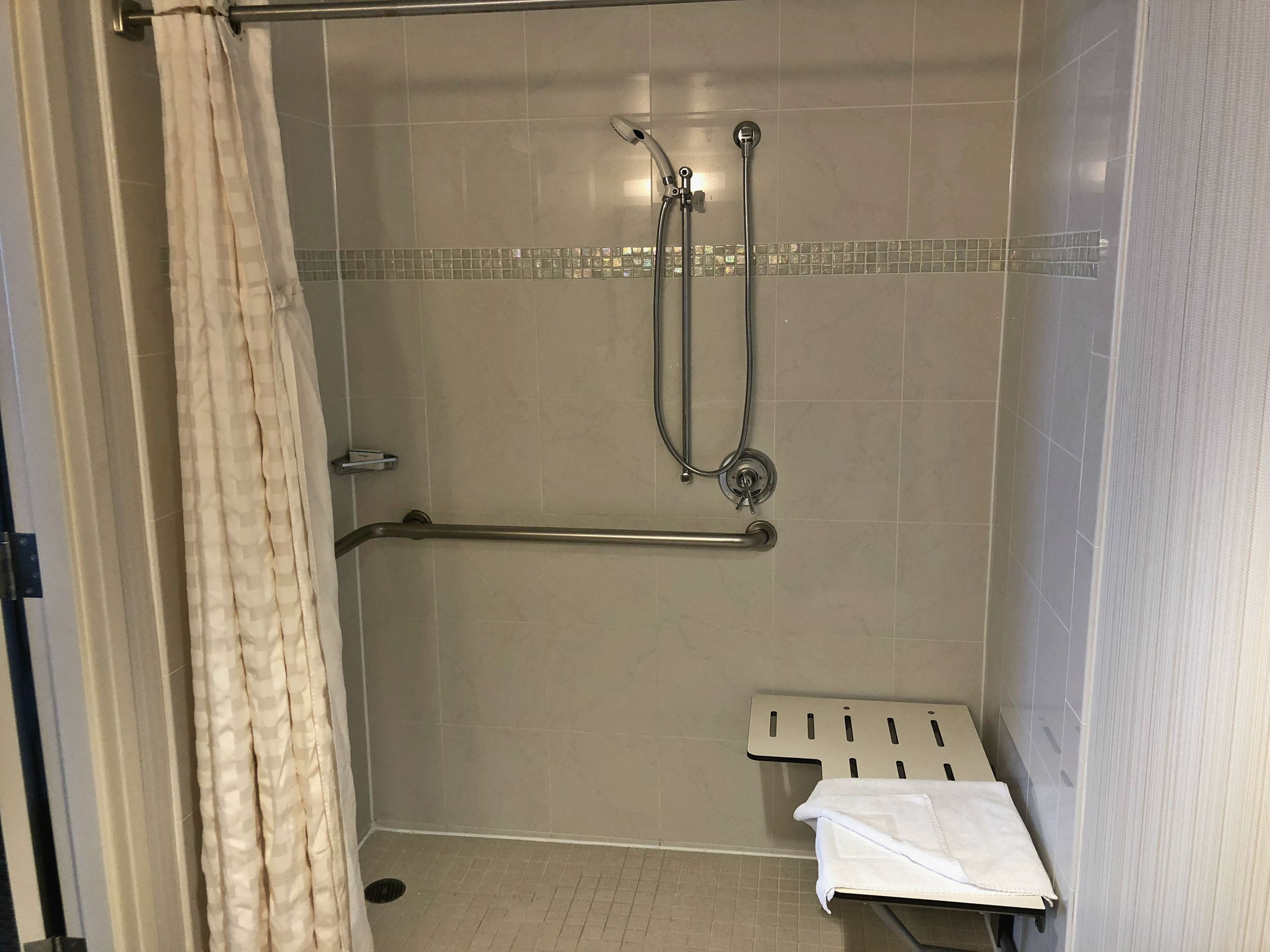 room, 1 king bed, accessible (roll-in shower) | bathroom shower