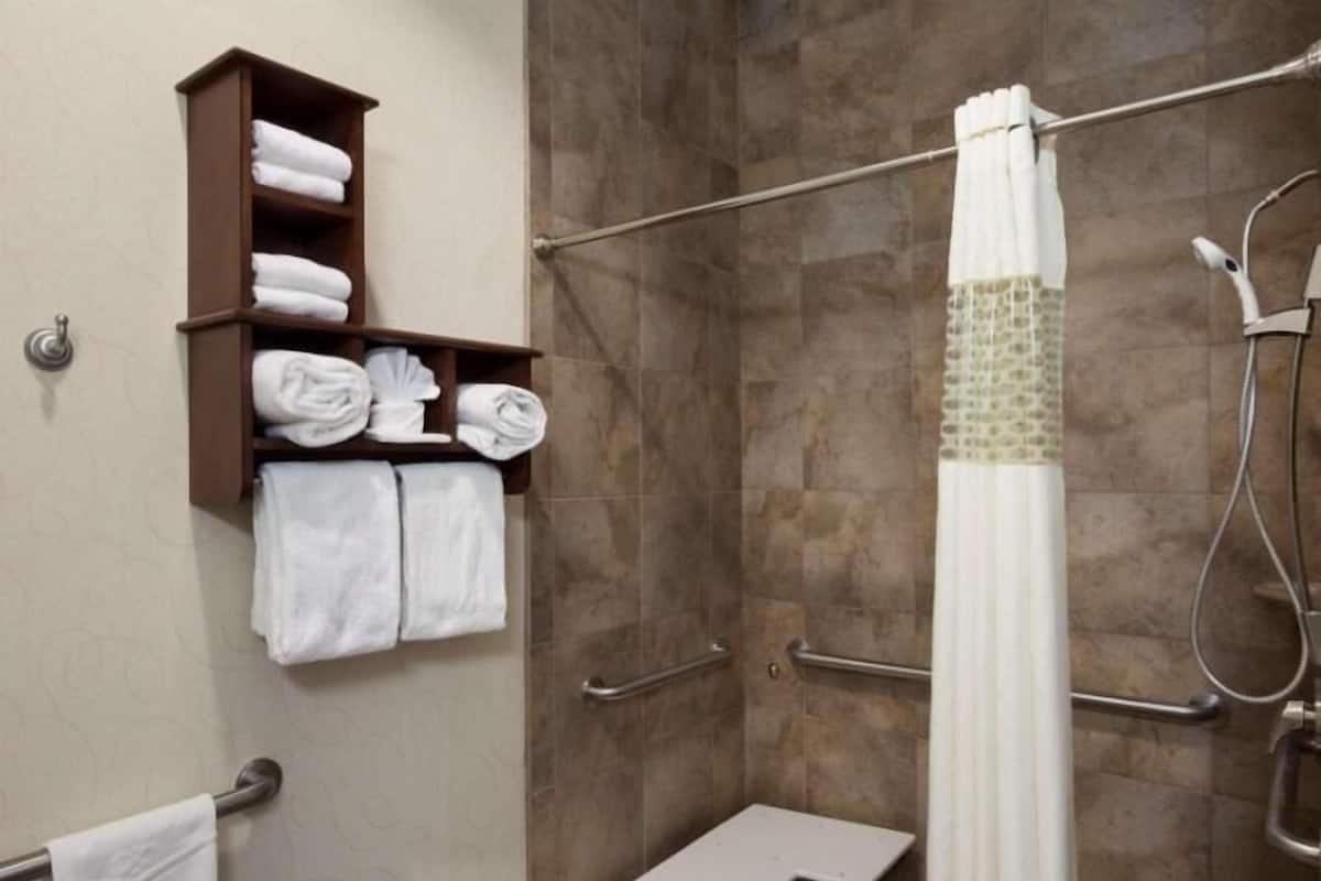 Bathroom | Combined shower/tub, free toiletries, hair dryer, towels