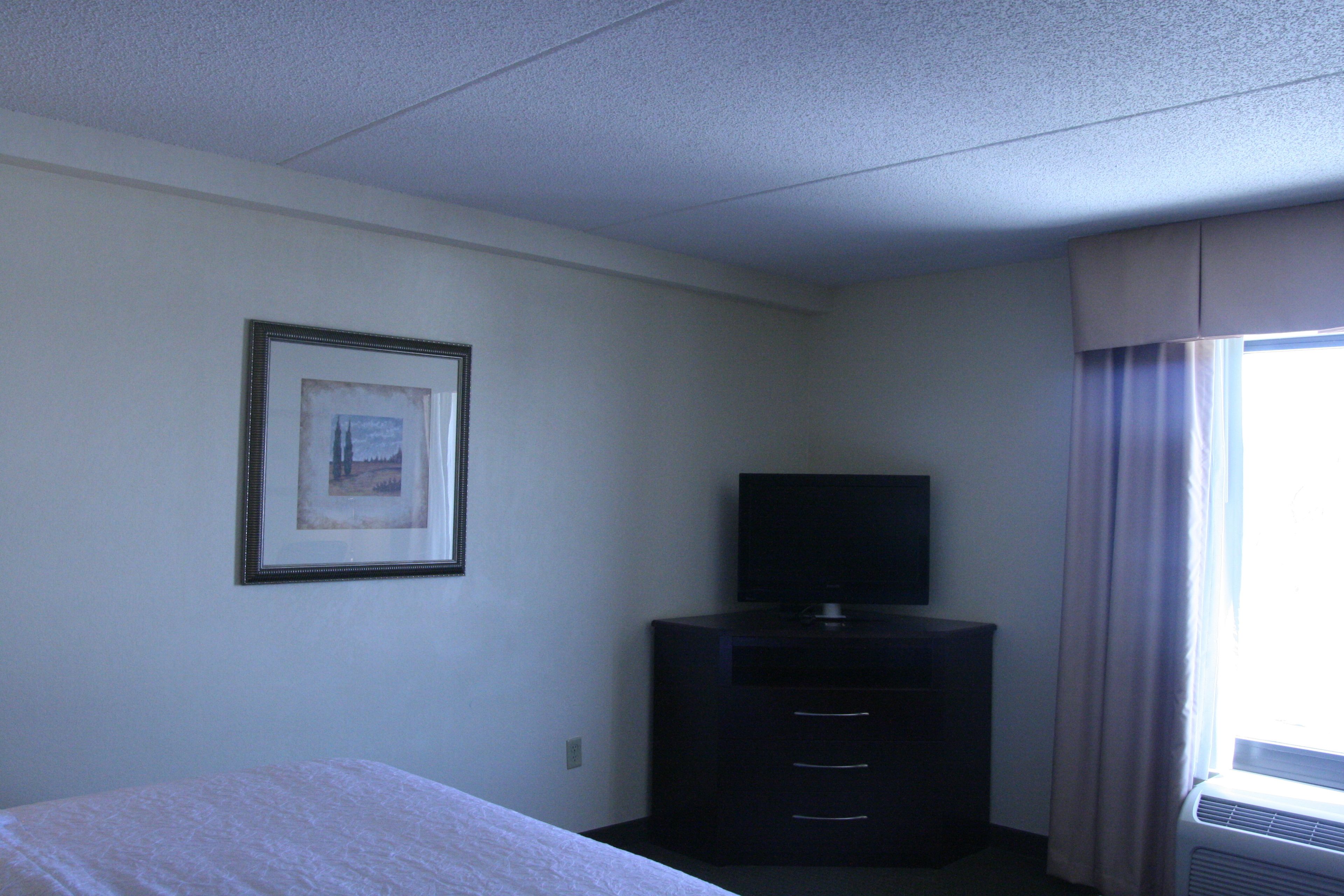 Una habitación de hotel con una cama, un cuadro en la pared, un televisor en una cómoda y una ventana con cortinas.