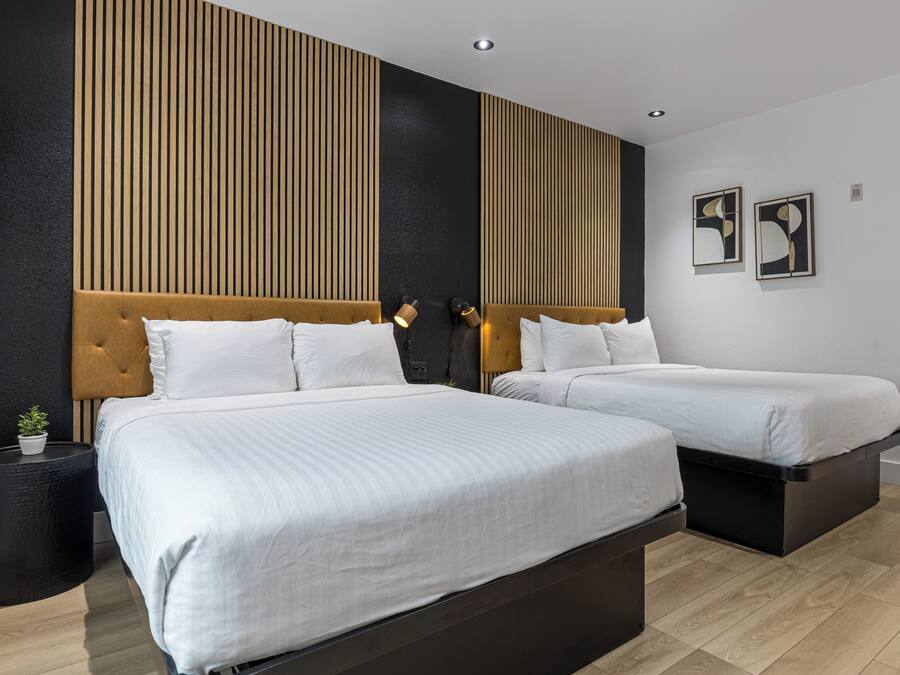 A modern hotel room with two beds, a dark headboard, and a black nightstand with a plant.
