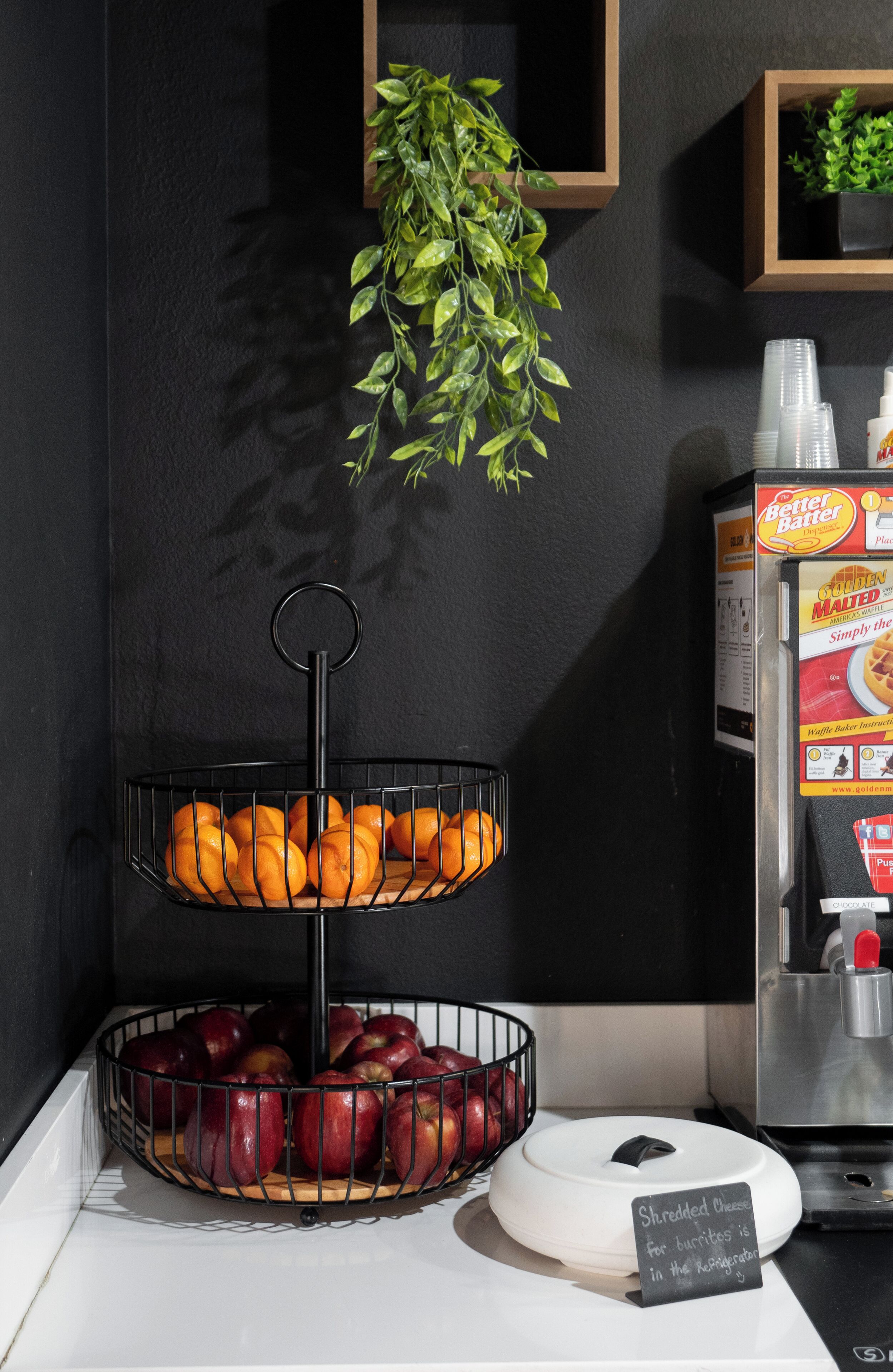 A kitchen counter with a fruit basket containing oranges and apples, a hanging plant, and a Better Baker box.