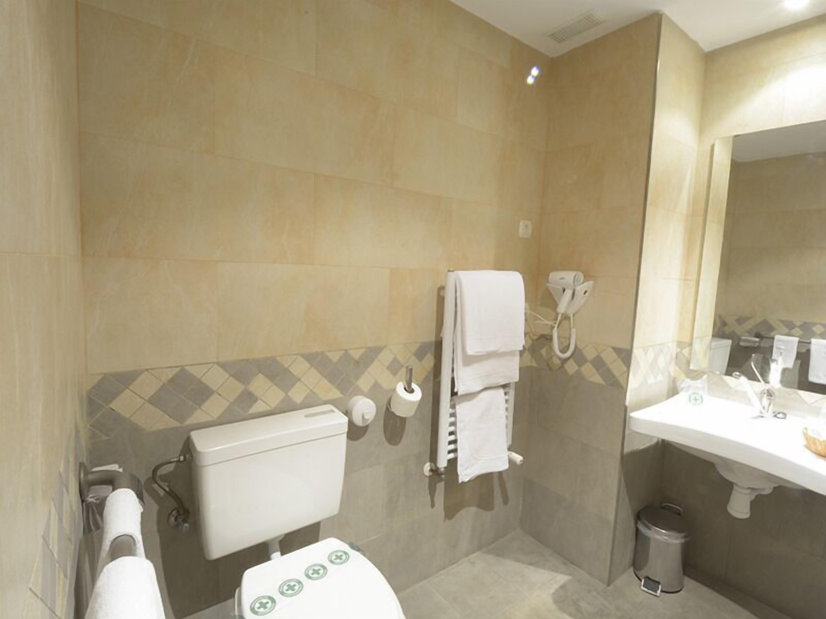 bathtub, hair dryer, bidet, towels