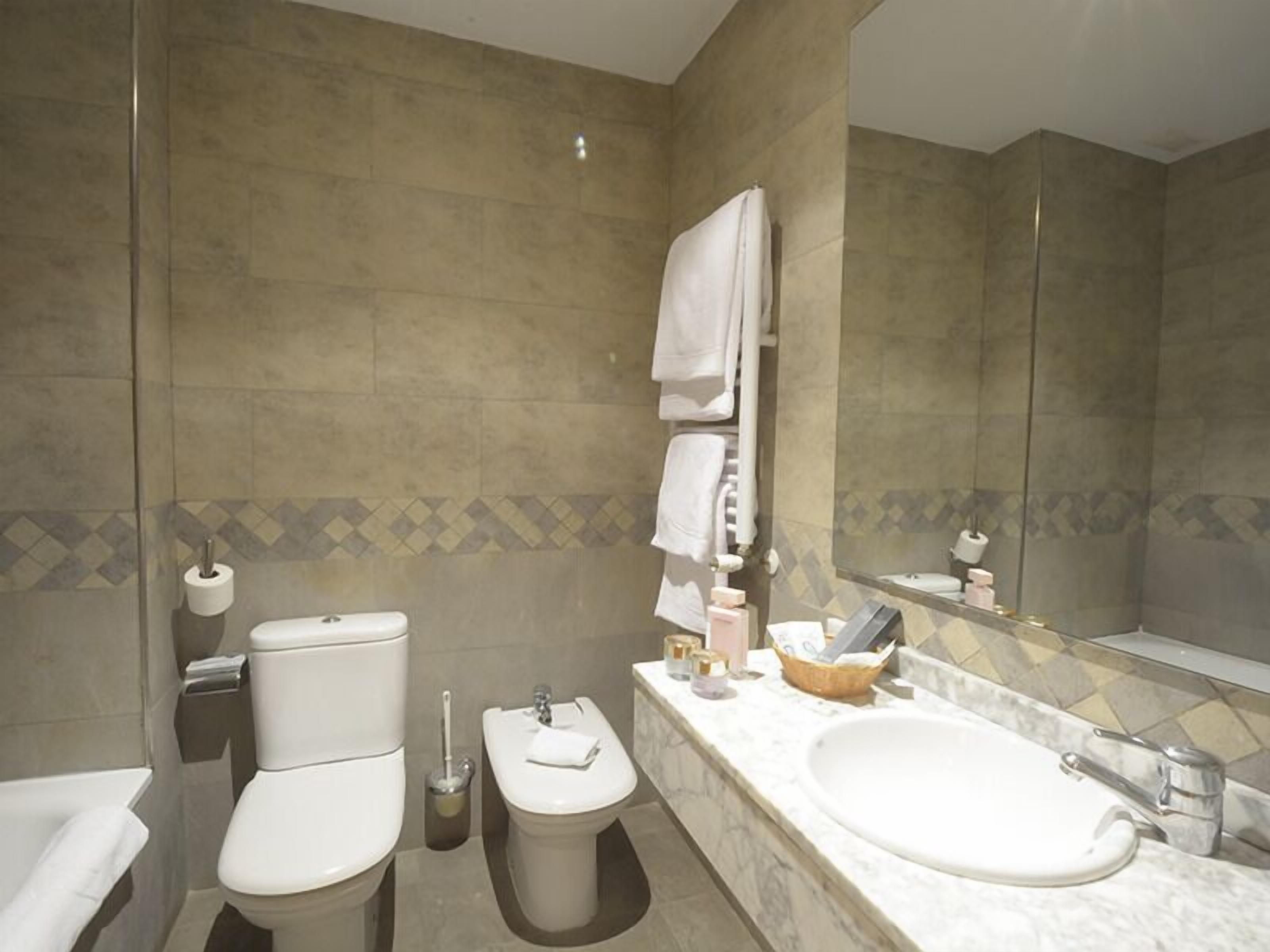 bathtub, hair dryer, bidet, towels