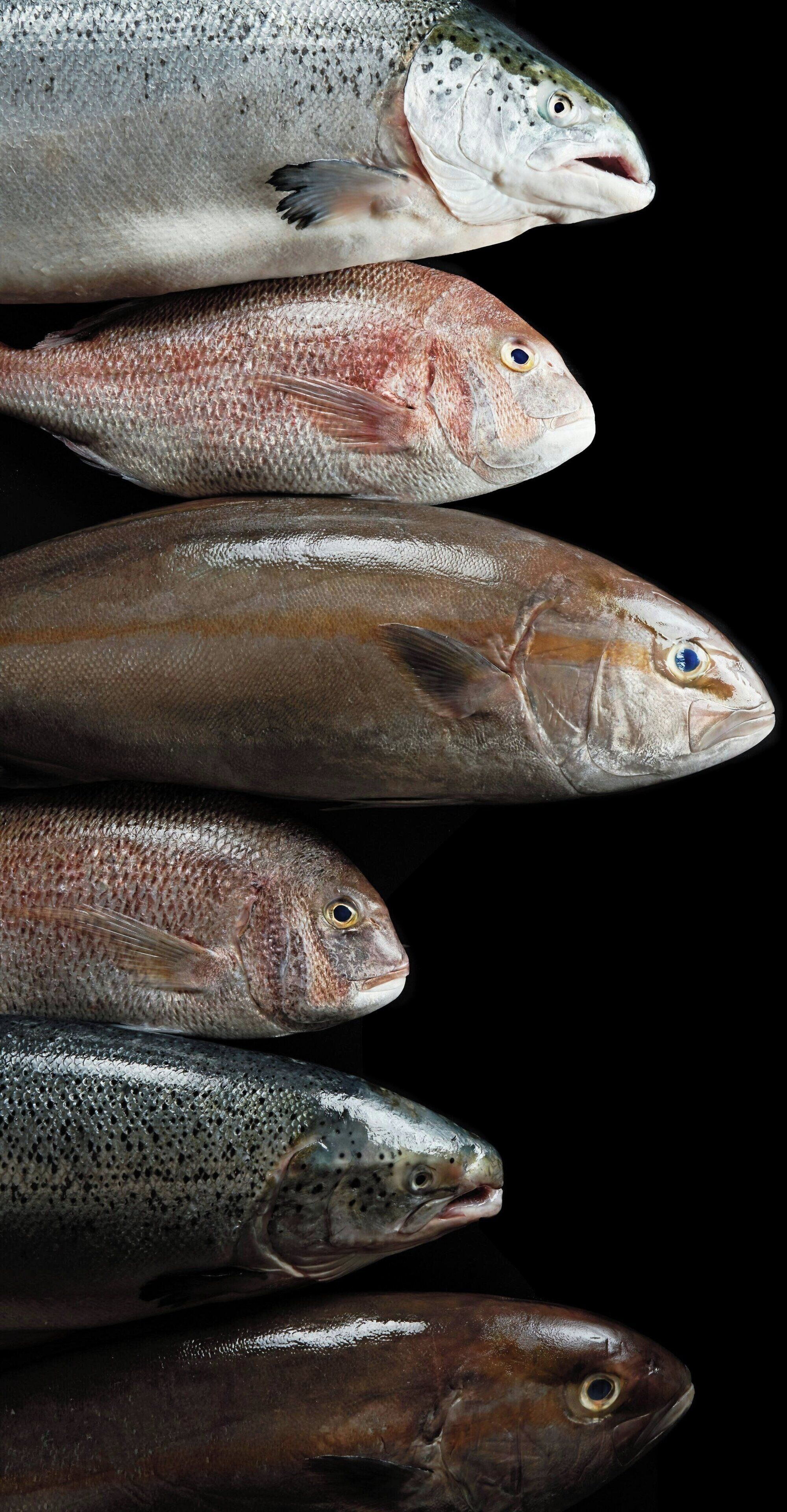 2 restaurants, breakfast served