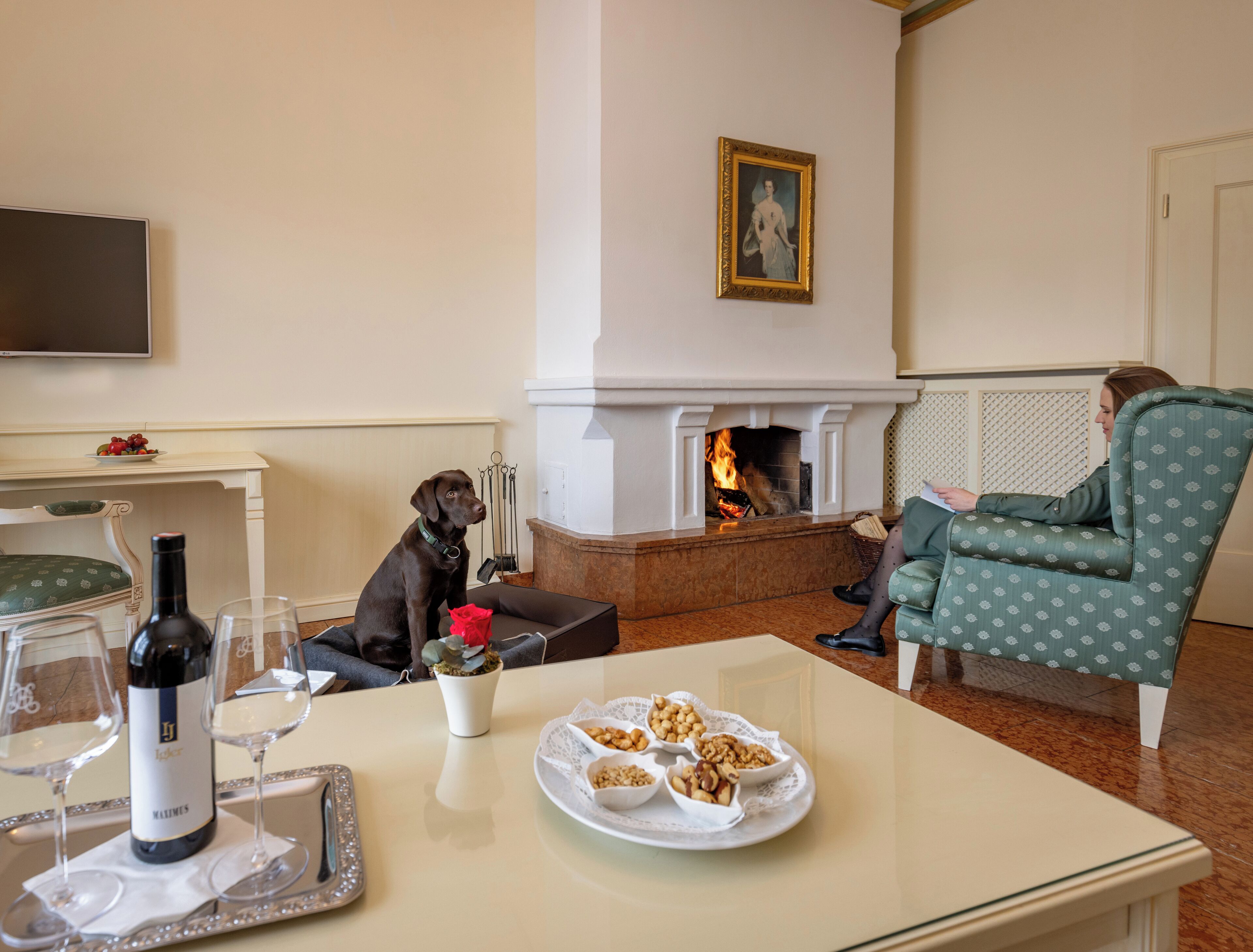 A room with a fireplace, a dog, a woman reading, and a table with wine and snacks.