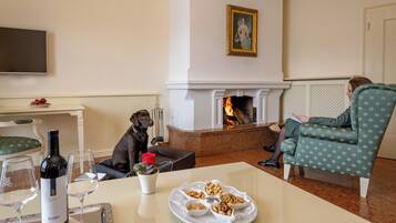 A room with a fireplace, a dog, a woman reading, and a table with wine and snacks.