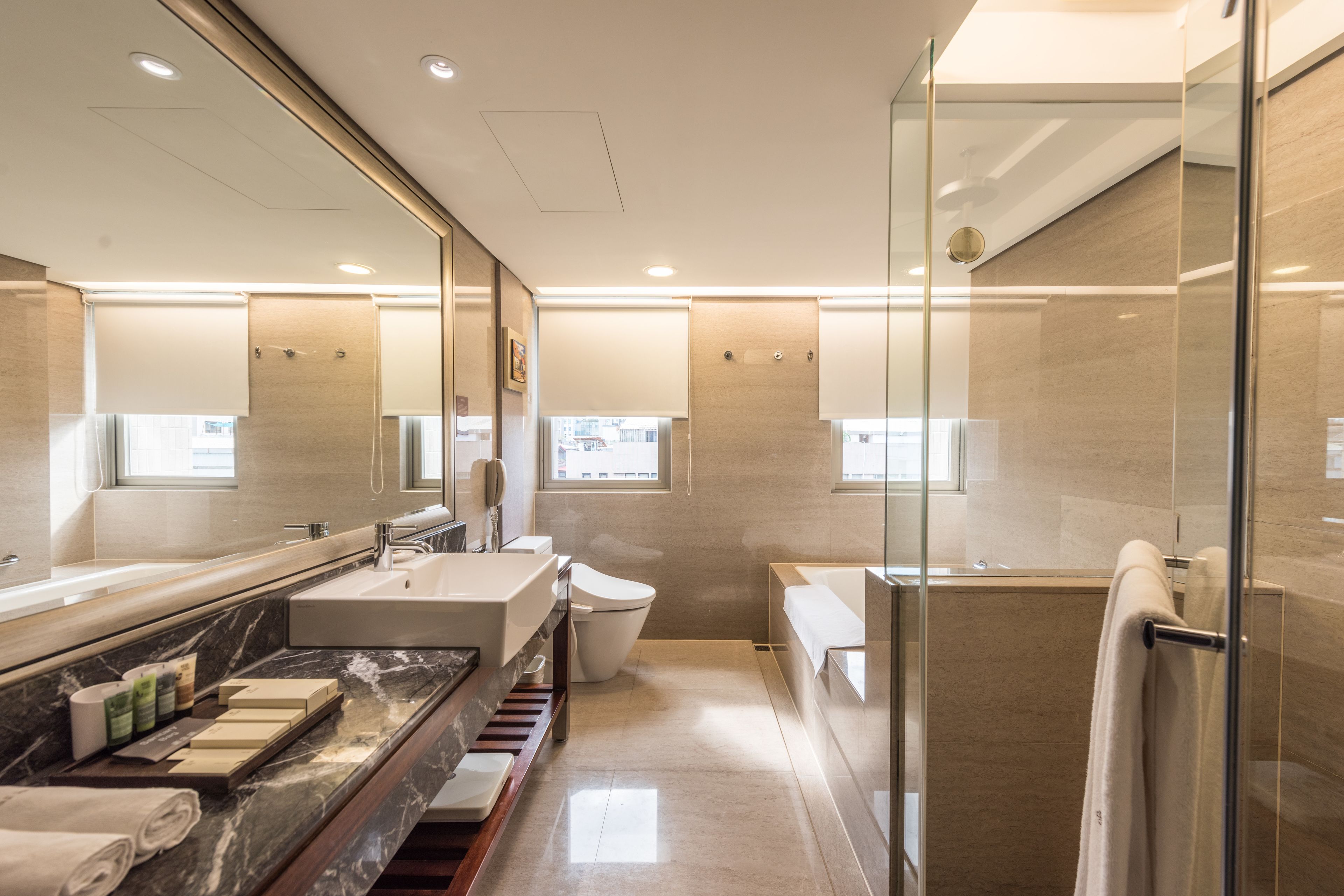 separate bathtub and shower, rainfall showerhead, free toiletries