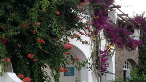 Un edificio blanco con arcos y un jardín con diversas plantas y flores.