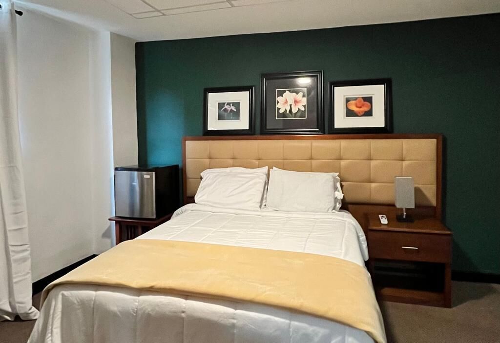 Habitación de hotel con una cama, televisor, mesita de noche con lámpara y tres cuadros en la pared.