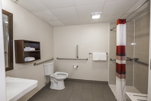 Une salle de bain avec des toilettes, un lavabo et une douche.