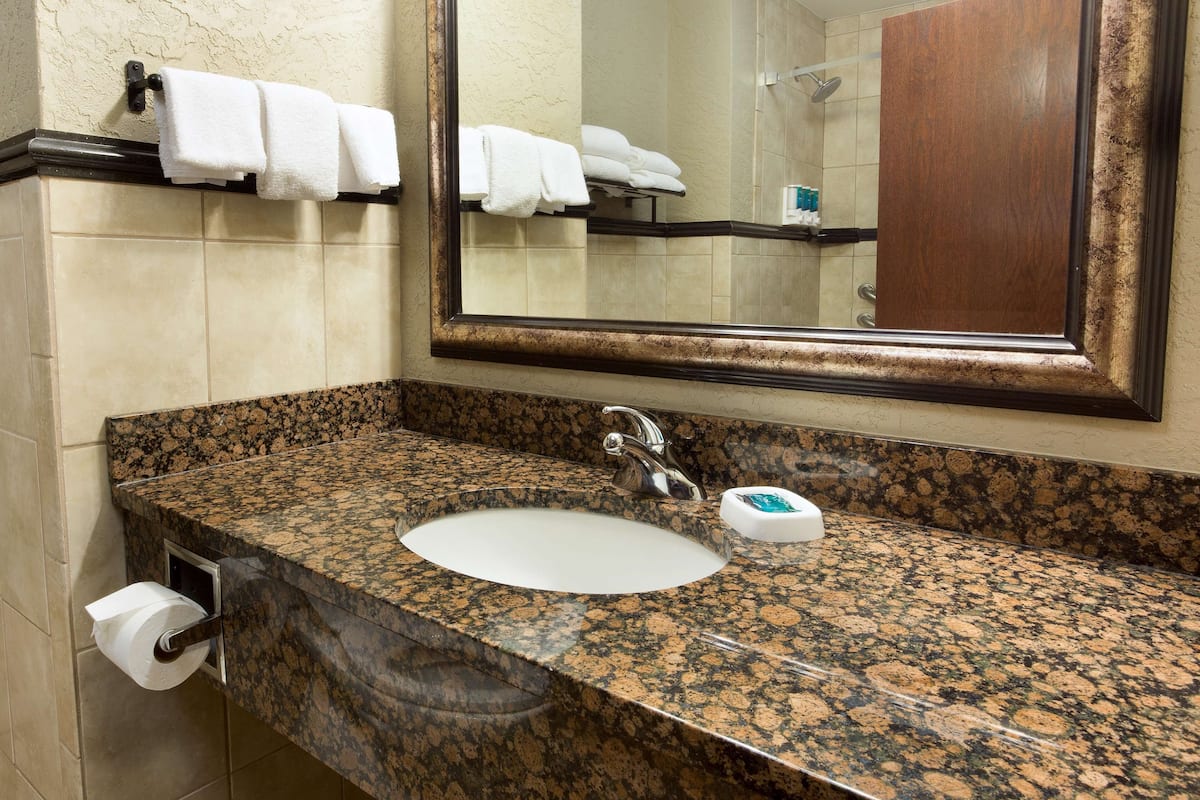 combined shower/bathtub, free toiletries, hair dryer, towels