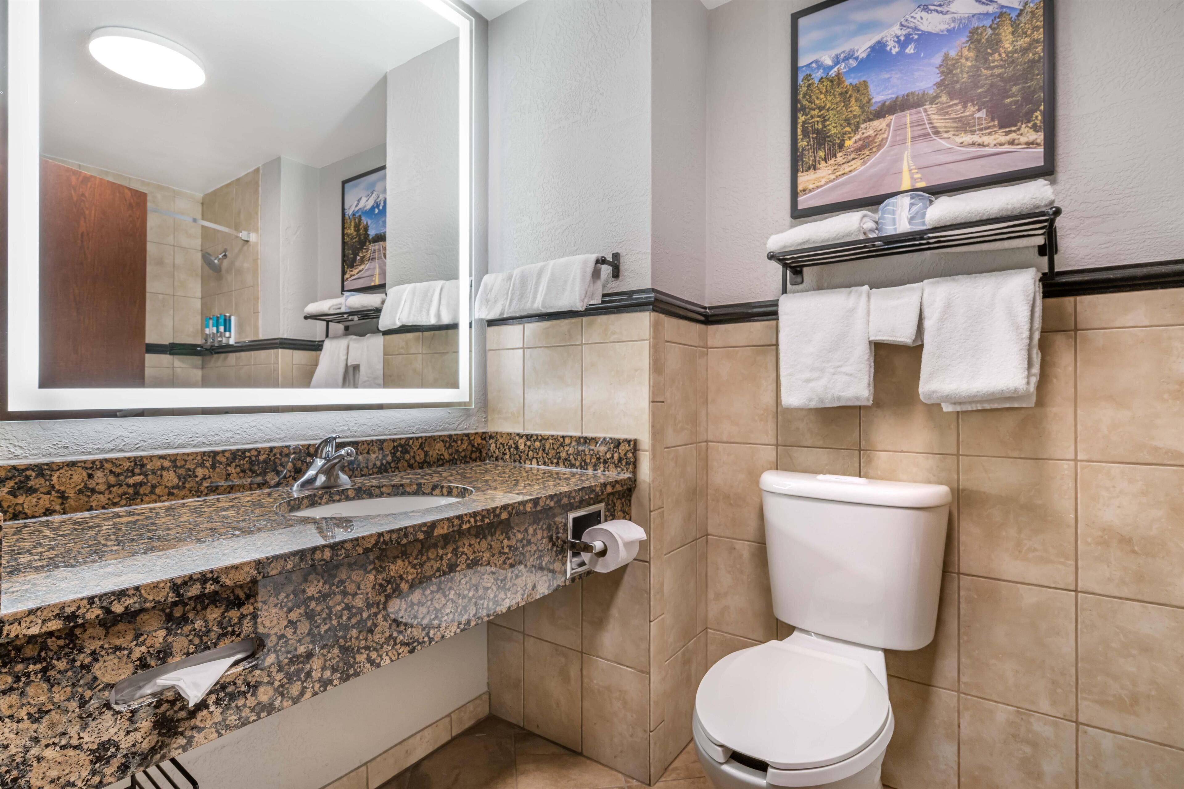 Un baño con lavamanos de encimera de granito, inodoro y un espejo grande.