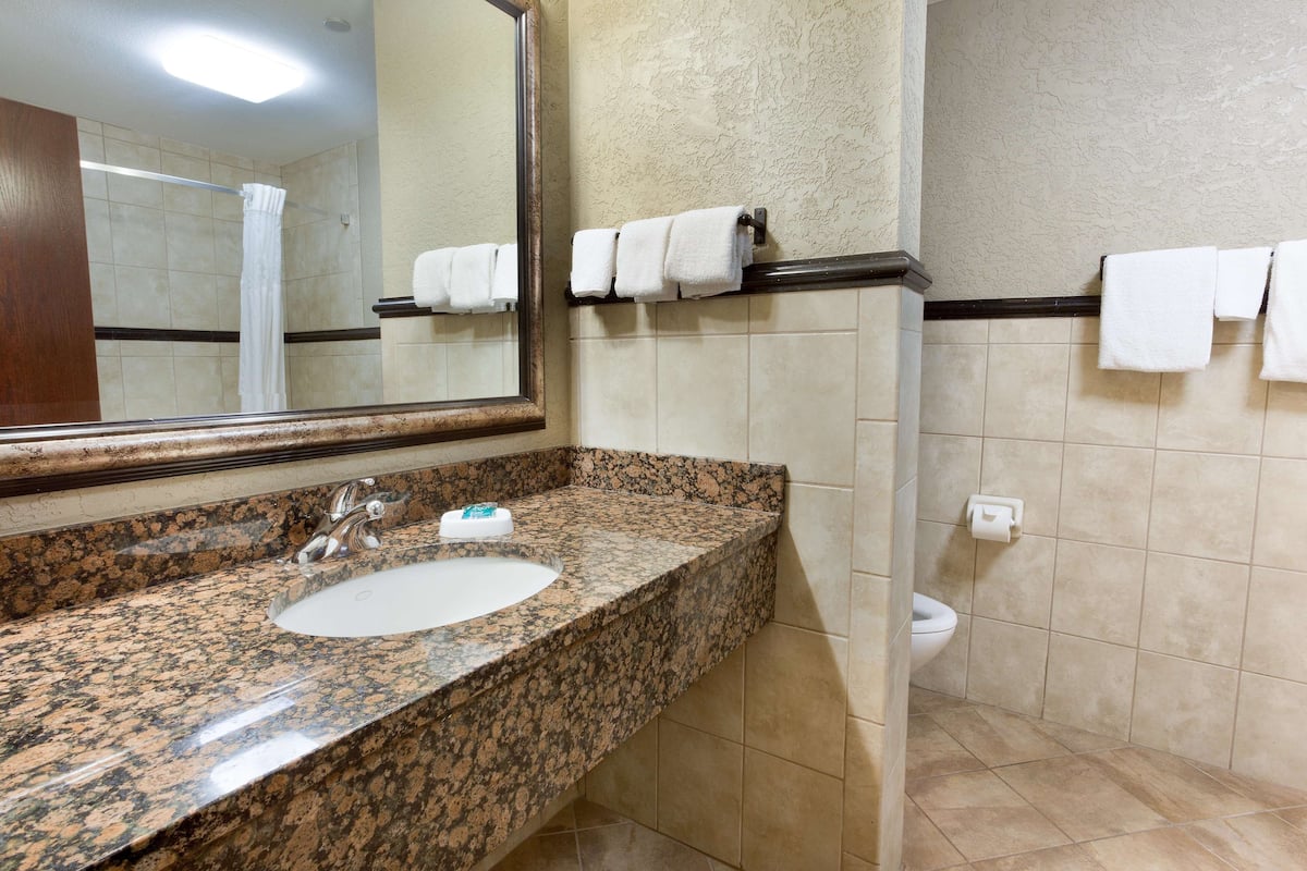 combined shower/bathtub, free toiletries, hair dryer, towels