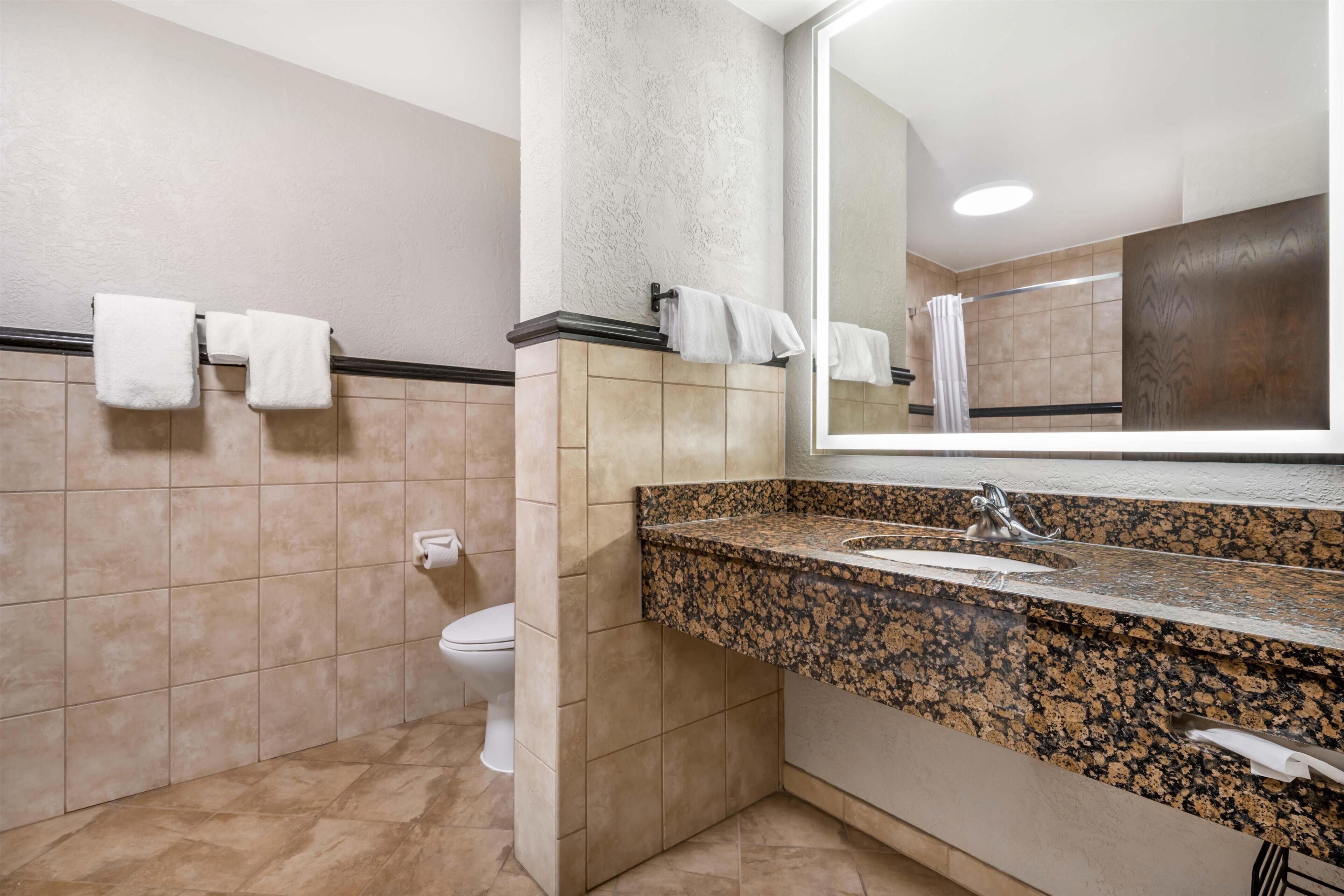 A bathroom with a toilet, sink, and mirror.