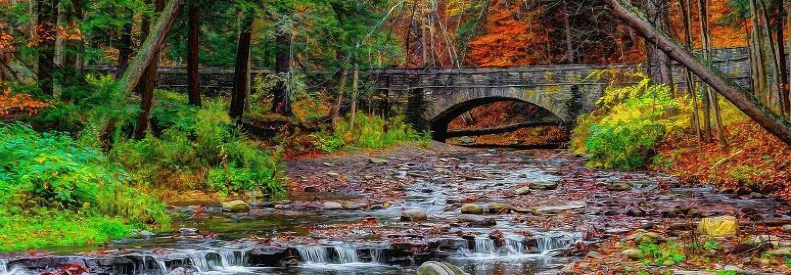Un pont de pedra sobre un torrent en una zona boscosa.