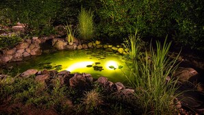 A pond surrounded by rocks and vegetation, with a small wooden bridge in the background. - Allegiance Bed and Breakfast (Mount Morris)