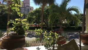 A balcony with potted plants, a view of a church tower, and a street with cars. - Beach Drive Inn (St. Petersburg)