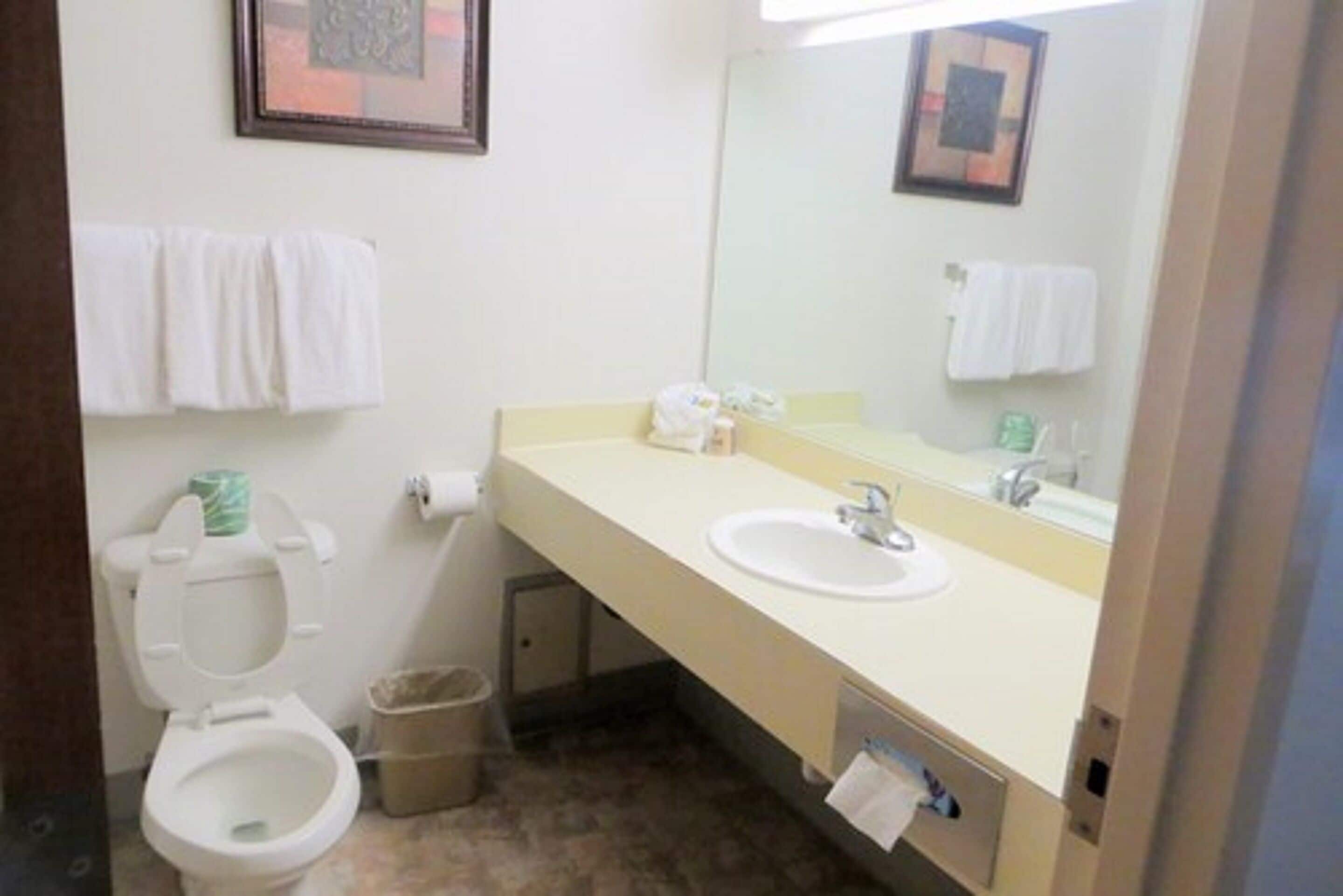 deluxe double room | bathroom | combined shower/bathtub, free toiletries, hair dryer, towels