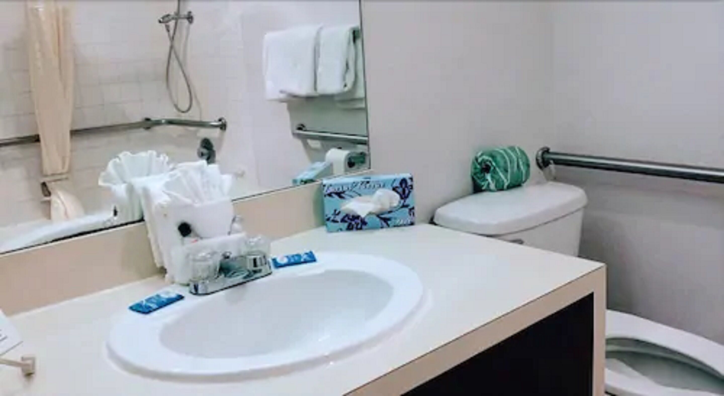 deluxe double room | bathroom | combined shower/bathtub, free toiletries, hair dryer, towels